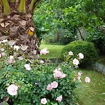 Bed & Breakfast Franklyn