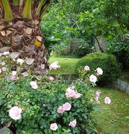 Bed & Breakfast Franklyn