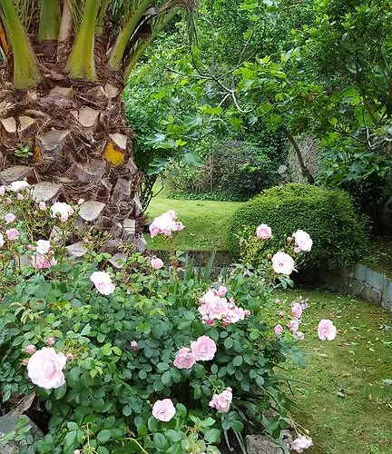 Nocleg ze śniadaniem Franklyn