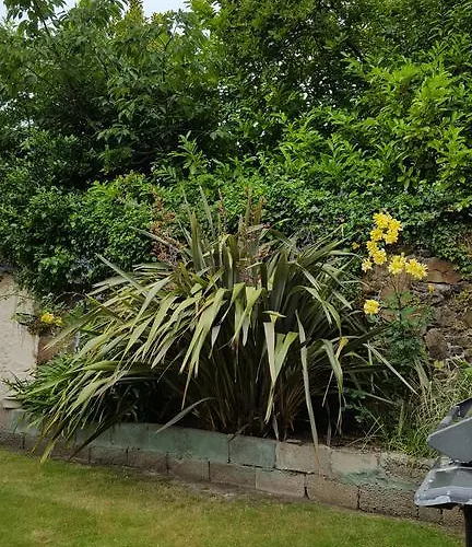 Nocleg ze śniadaniem Franklyn